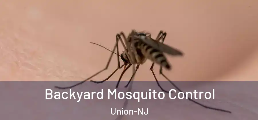 Backyard Mosquito Control Union-NJ