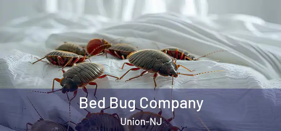 Bed Bug Company Union-NJ