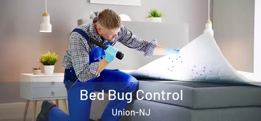 Bed Bug Control Union-NJ
