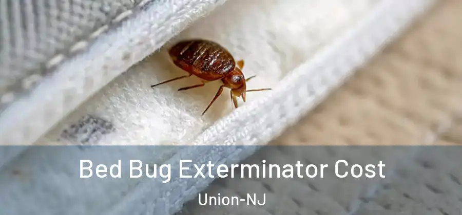 Bed Bug Exterminator Cost Union-NJ
