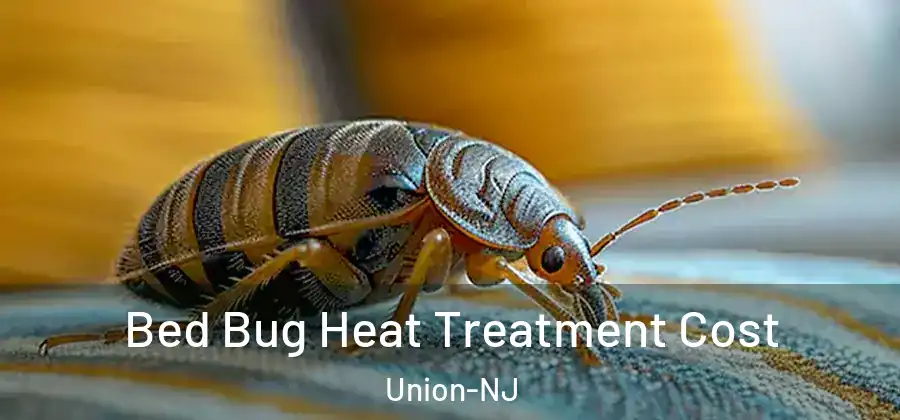  Bed Bug Heat Treatment Cost Union-NJ