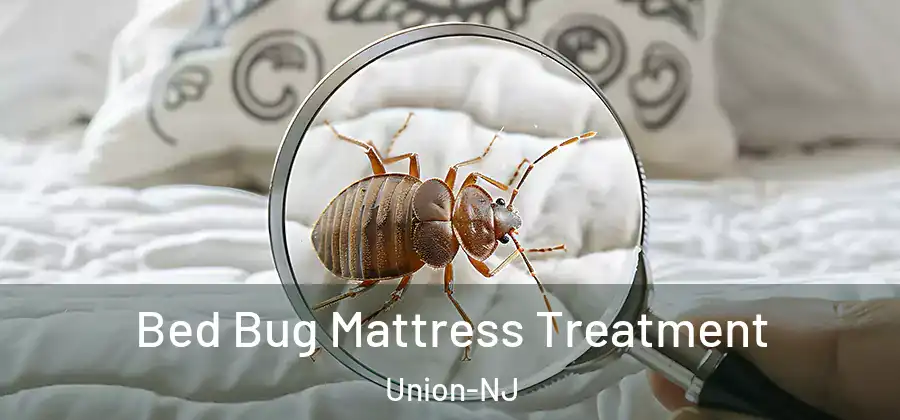 Bed Bug Mattress Treatment Union-NJ
