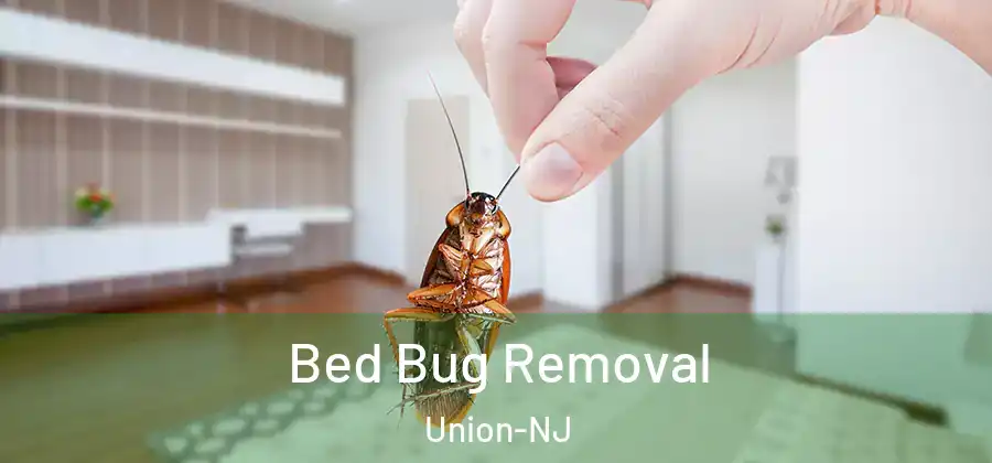 Bed Bug Removal Union-NJ