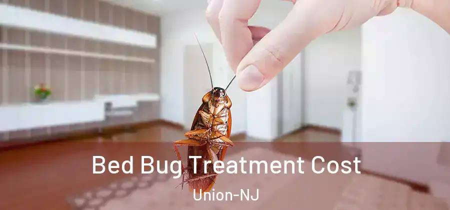 Bed Bug Treatment Cost Union-NJ