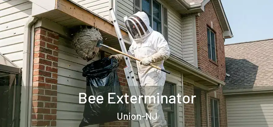 Bee Exterminator Union-NJ
