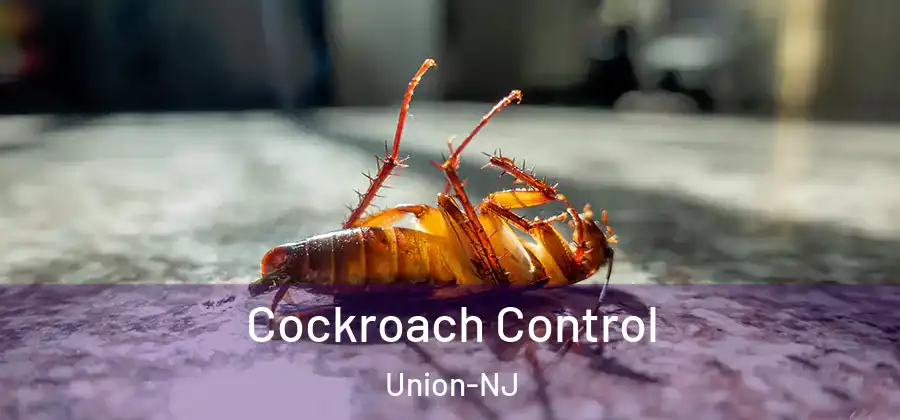Cockroach Control Union-NJ