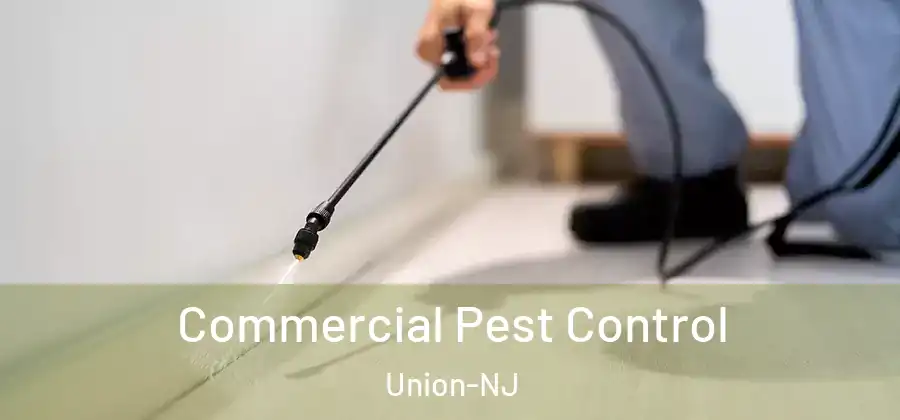 Commercial Pest Control Union-NJ