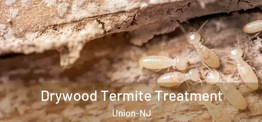 Drywood Termite Treatment Union-NJ