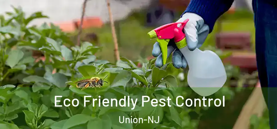  Eco Friendly Pest Control Union-NJ