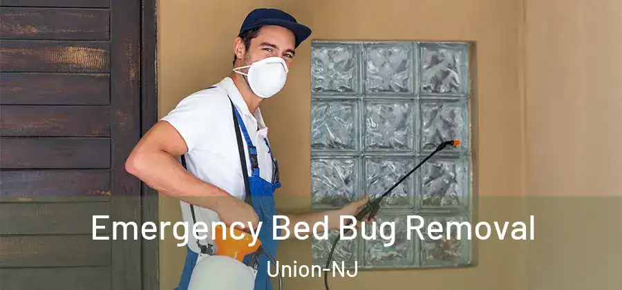 Emergency Bed Bug Removal Union-NJ