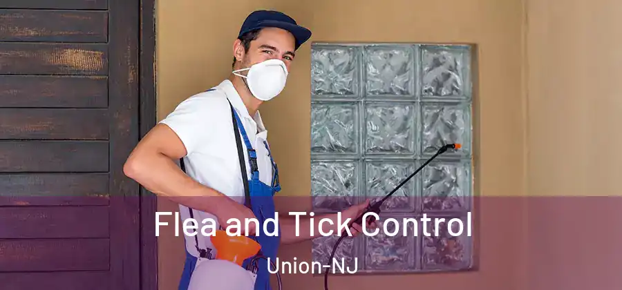 Flea and Tick Control Union-NJ