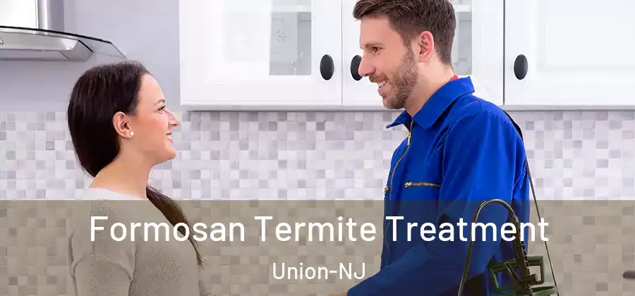 Formosan Termite Treatment Union-NJ