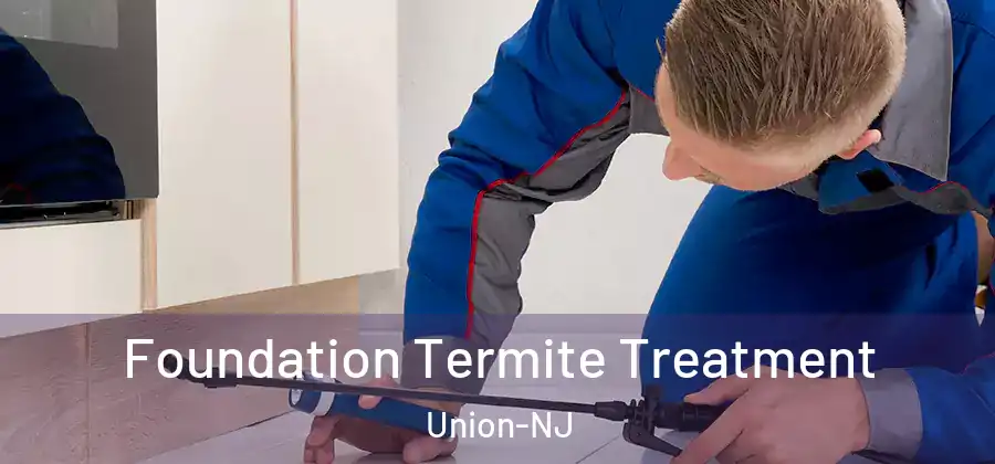 Foundation Termite Treatment Union-NJ