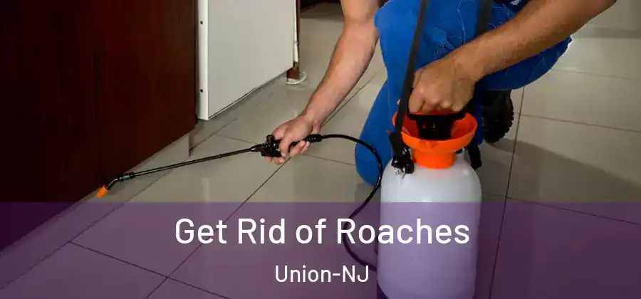 Get Rid of Roaches Union-NJ