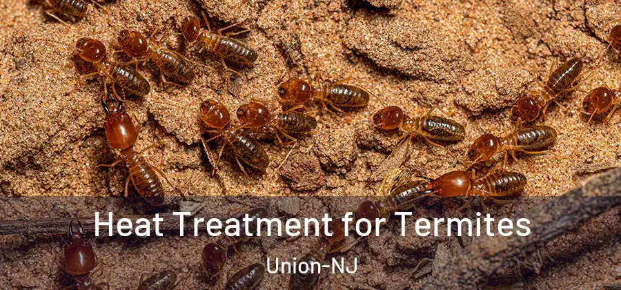 Heat Treatment for Termites Union-NJ