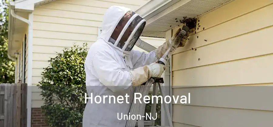 Hornet Removal Union-NJ