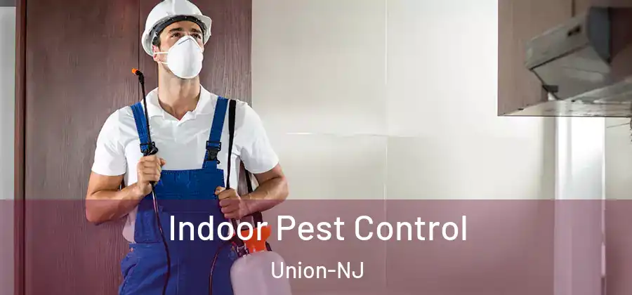 Indoor Pest Control Union-NJ