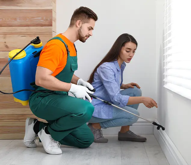Trusted Affordable Bed Bug Treatment Experts in Union, NJ