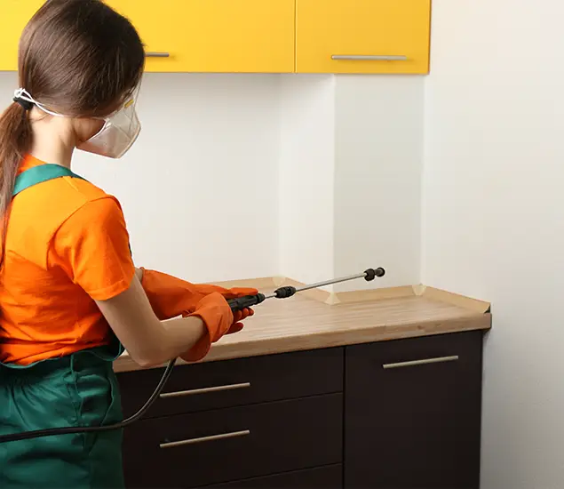 Trusted Bed Bug Pest Control Specialist in Union, NJ