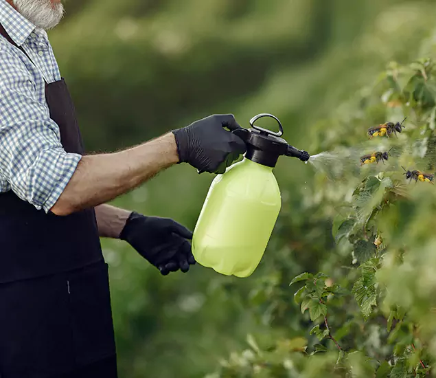 Your Carpenter Bee Service in Union, NJ