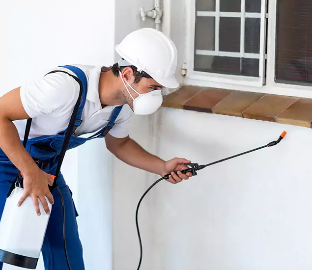 Your Professional Cockroach Exterminator in Union, NJ