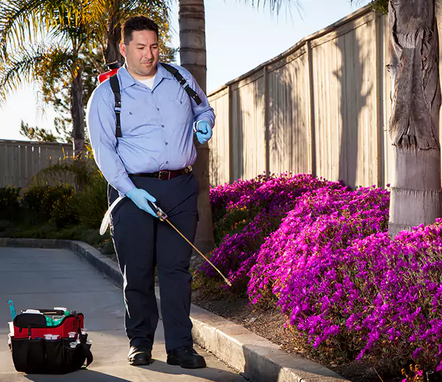 About Our Eco Safe Pest Control Experts in Union, NJ
