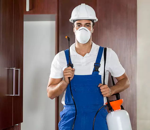 Trusted Exterminator and Pest Exterminator Professionals in Union, NJ