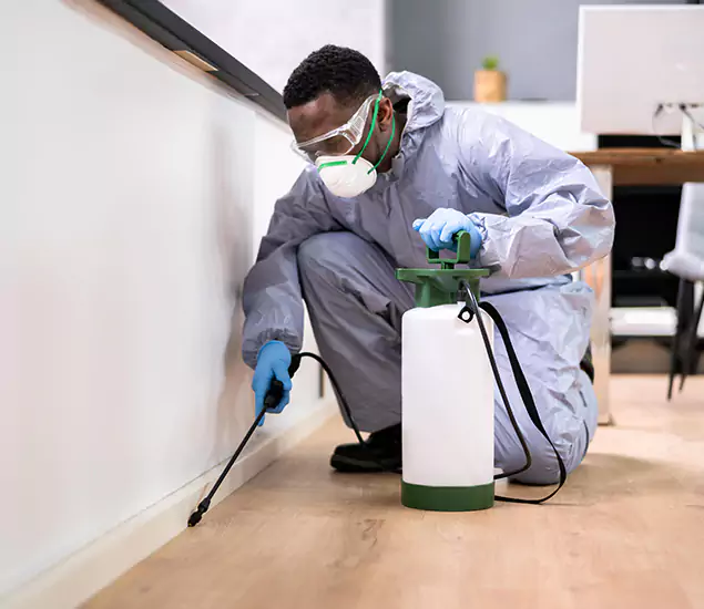 Leading Industrial Pest Control Experts Serving Union, NJ