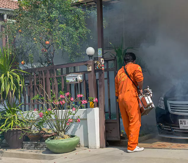 Your Proven Mosquito Fogging Company in Union, NJ