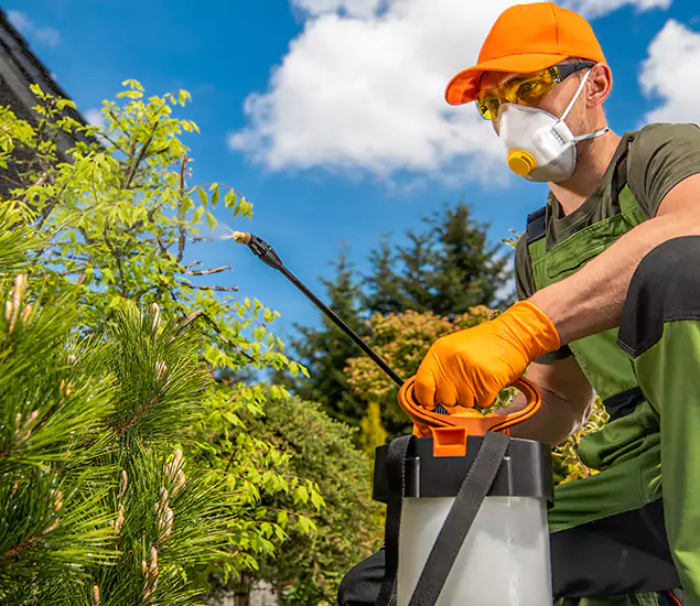 Your Best Bug Spray for Home Team in Union, NJ