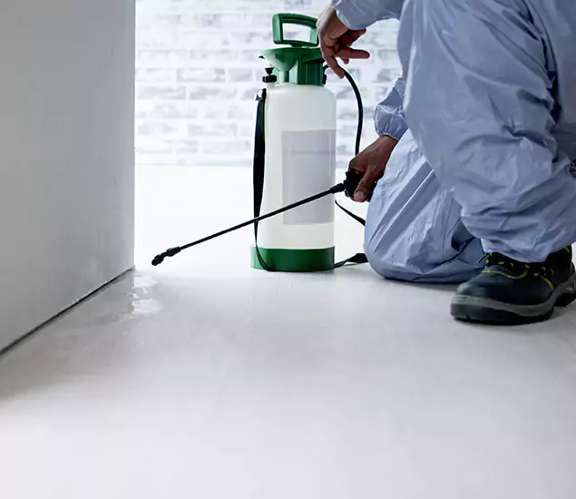 Affordable Pest Control Experts in Union, NJ