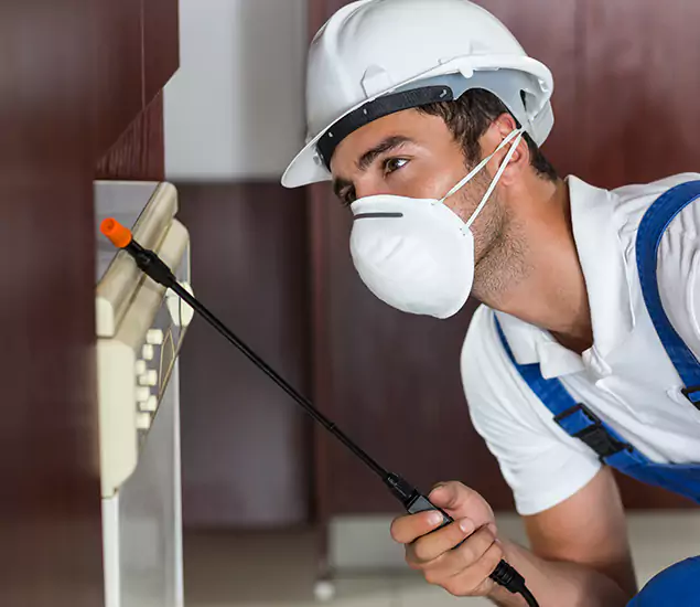 Expert Cockroach Exterminator: Your Roach Control Services in Union, NJ