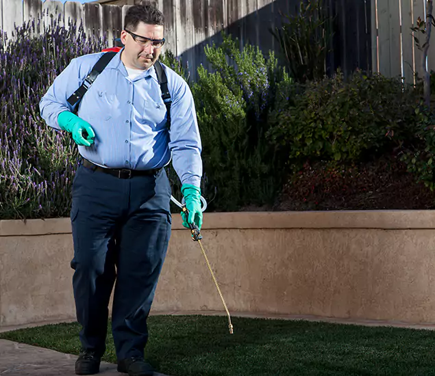 Reliable Termite Barrier Treatment Experts in Union, NJ