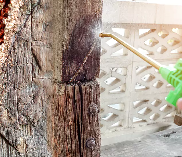 About Wood Termite Treatment Services in Union, NJ