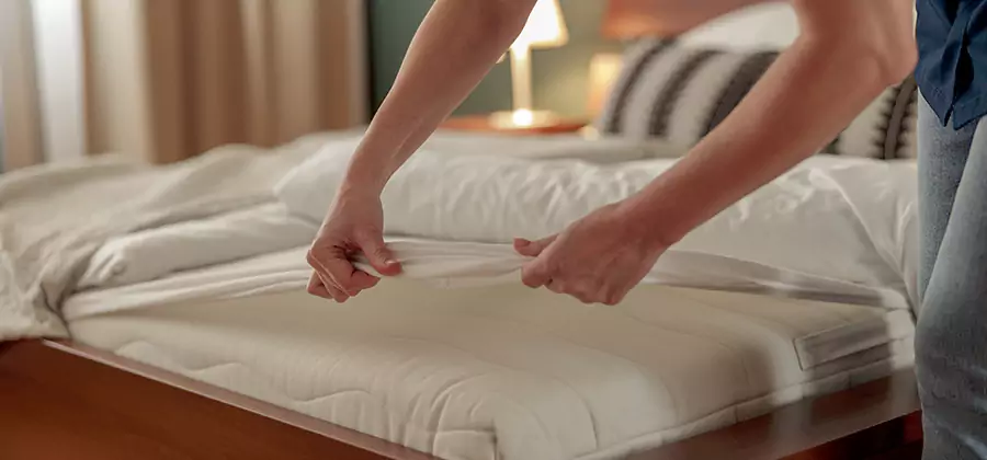 Bed Bug Extermination Services in Union