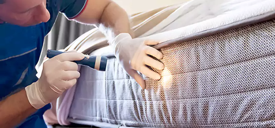 Residential Bed Bug Treatment Cost in Union