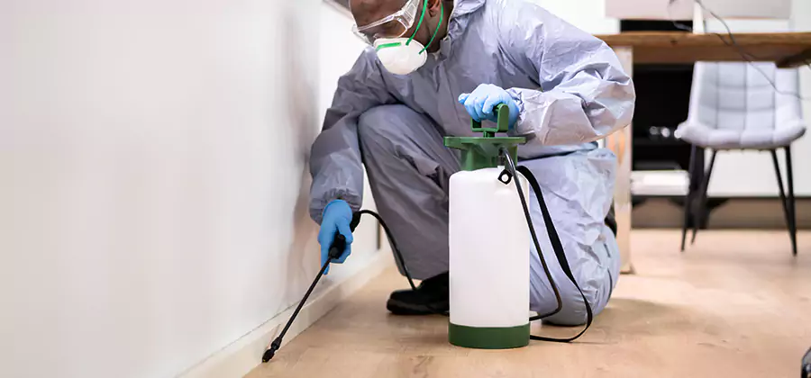 Long Lasting Mosquito Treatment in Union