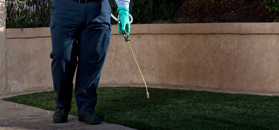 Soil Treatment for New Construction Termites in Union