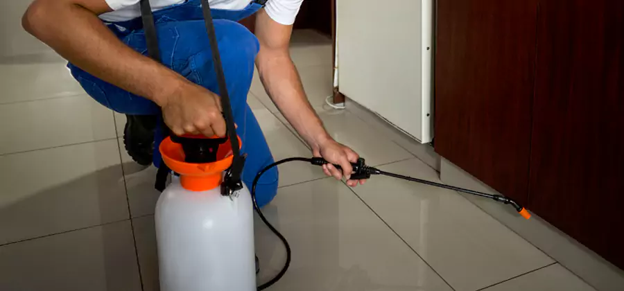 One Time Termite Control in Union