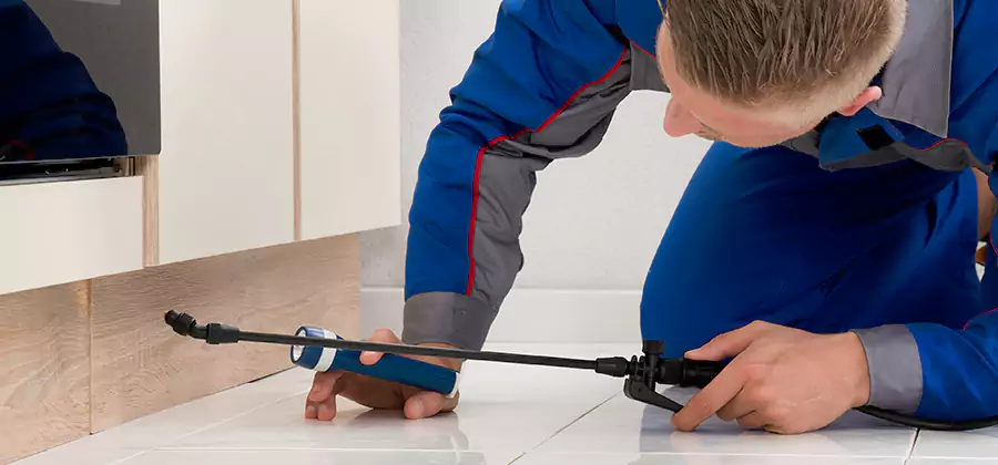 Moisture Treatment For Termite Control Service in Union