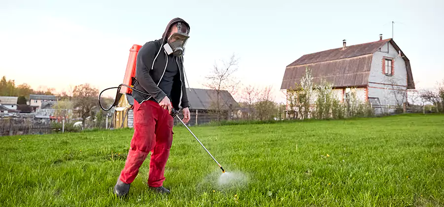Flea and Tick Pest Control in Union