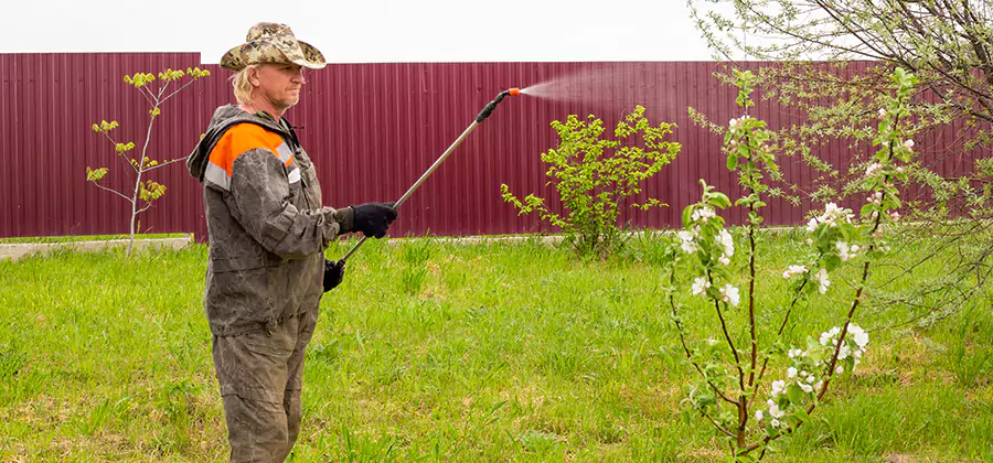 Flea and Tick Spray for Yard in Union