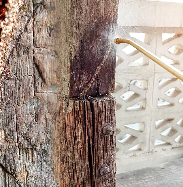 Why Choose Union Pest Control Pro for Attic Termite Treatment in Union, NJ?