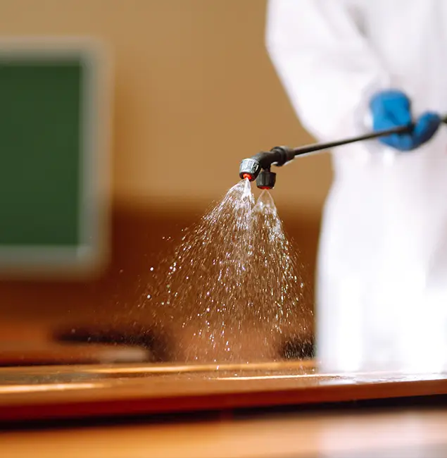 Why Choose Union Pest Control Pro for Bed Bug Chemical Treatment in Union, NJ?