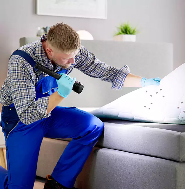 Why Choose Union Pest Control Pro for Bed Bug Exterminator Cost in Union, NJ?
