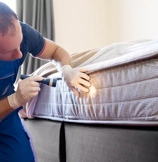 Why Choose Union Pest Control Pro for Bed Bug Services in Union, NJ?