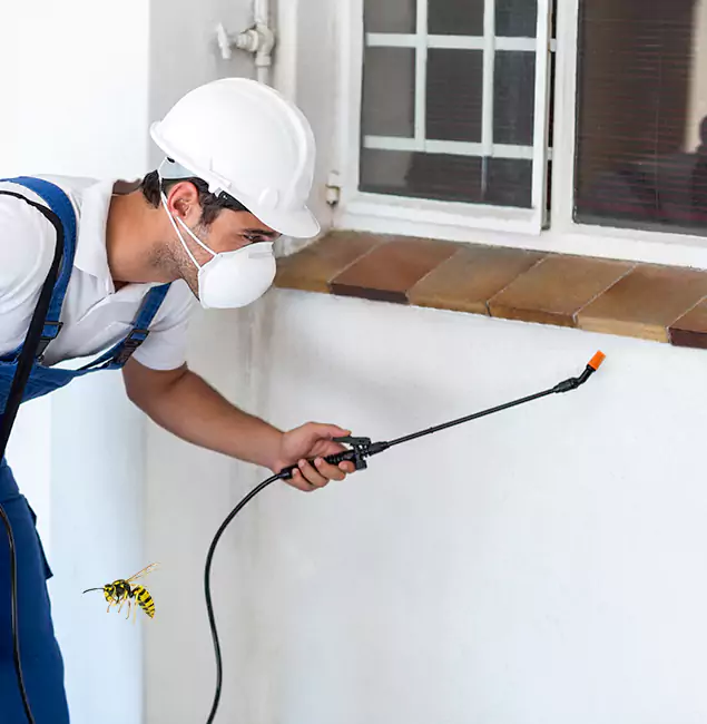 Why Union Property Owners Choose Union Pest Control Pro for Bee Nest Removal?