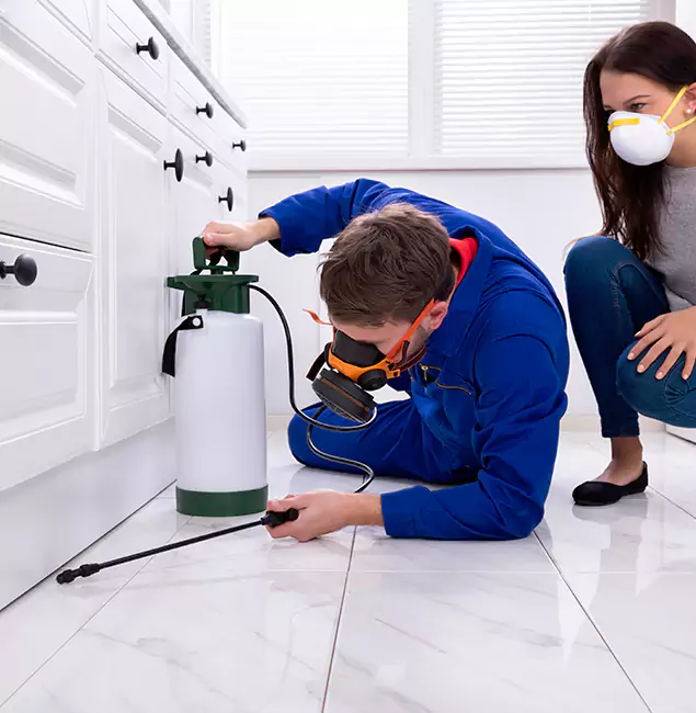 Why Choose Union Pest Control Pro in Union, NJ?