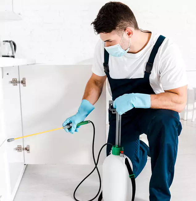 Why Choose Union Pest Control Pro for Emergency Pest Control in Union?