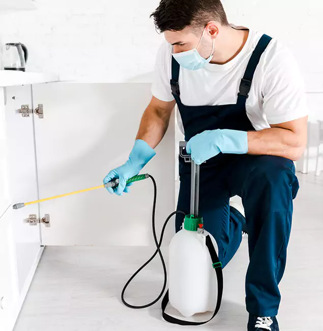 Why Union, NJ Homeowners Trust Us for German Roach Control?